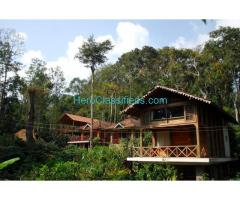 Best places to visit in Coorg - places to stay in coorg