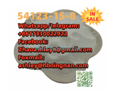99%purity Pharmaceutical intermediate raw materialCAS 54123-15-8  Fluclotizolam