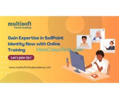 Gain Expertise in SailPoint IdentityNow with Online Training