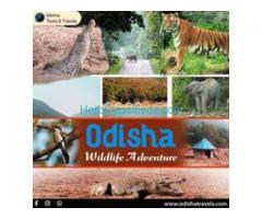 Are you in search of a reliable Odisha tours and travels agency in Bhubaneswar?