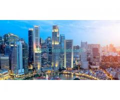 Singapore Debt Collection Agency