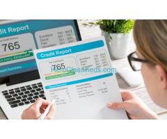 Business Credit Reporting Services