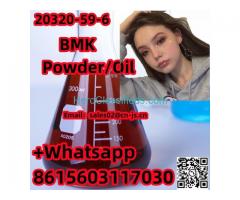  Hot Selling 20320-59-6 BMKPowder/Oil 