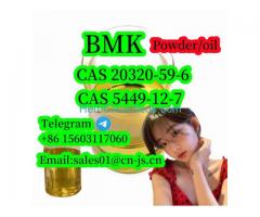Fast and safe delivery of raw materials BMK Powder,20320-59-6,5449-12-7